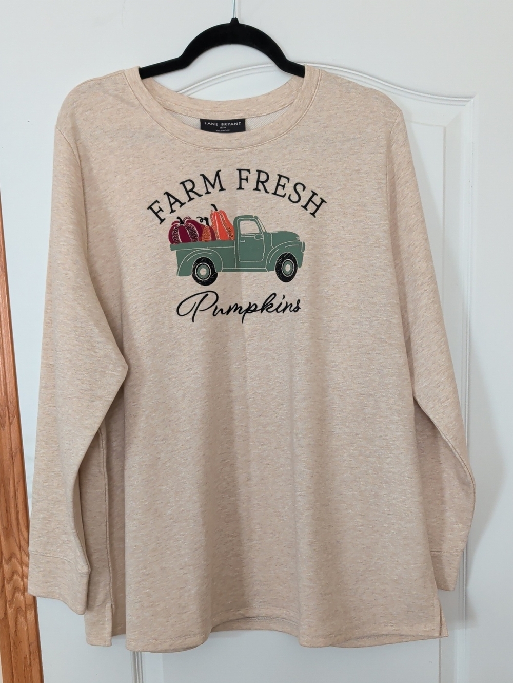 Lane Bryant Beige Long Sleeve 'Farm Fresh Pumpkins' Graphic Tee Tote 4